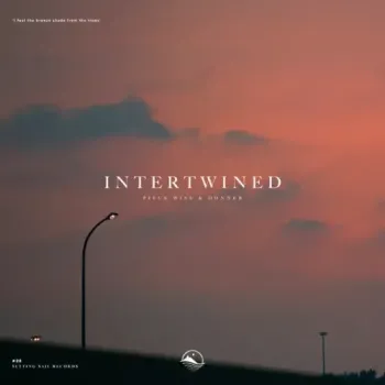 Piece Wise - Intertwined