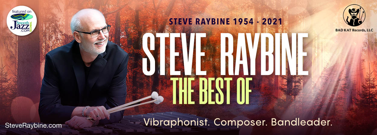 Steve Raybine - The Best Of Steve Raybine
