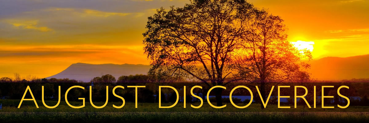 New Music Blast - August 2020