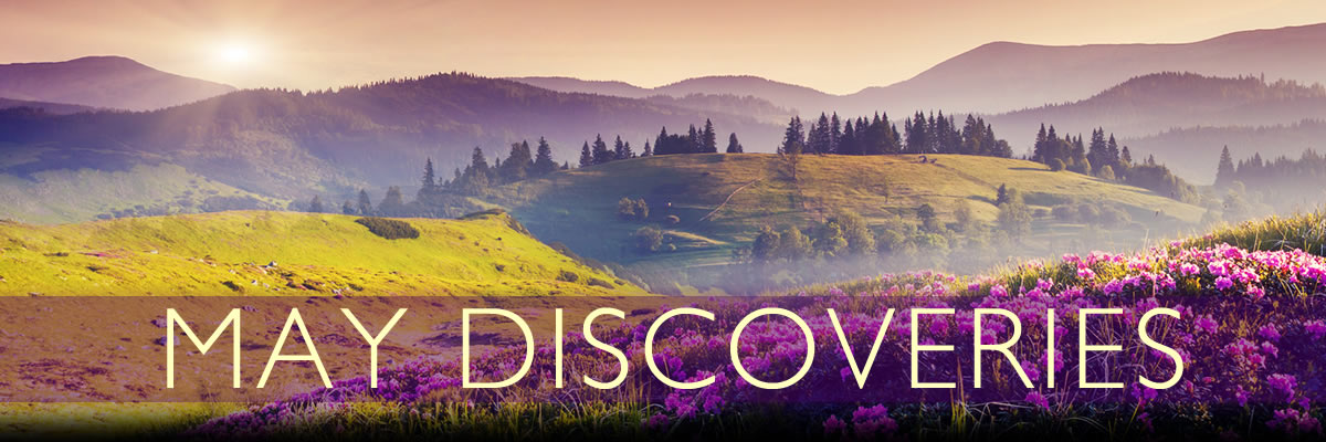 New Music Blast - May 2020