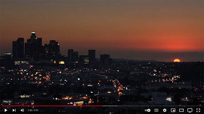 D.S. Wilson - Nightfall