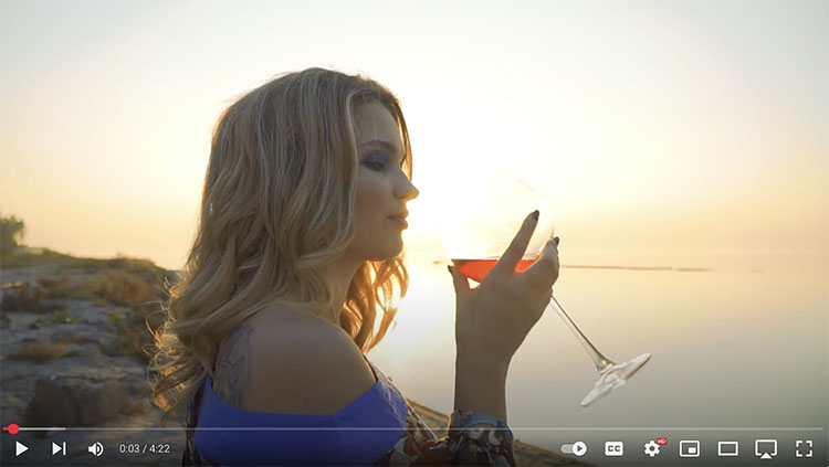 D.S. Wilson - Sangrai official video