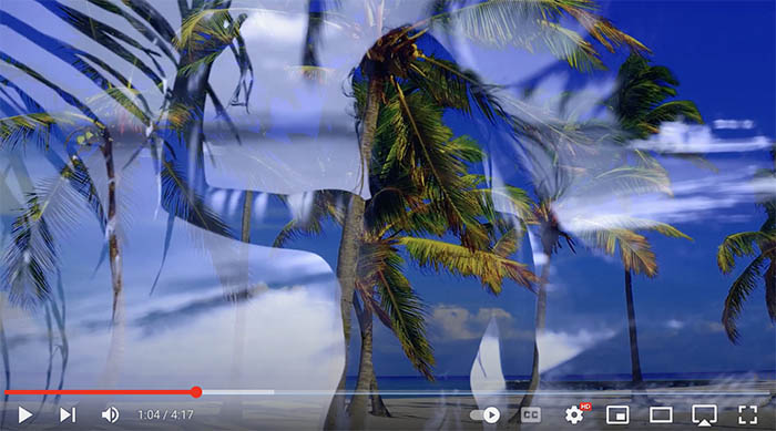 Rainforest Band - Good Medicine official video