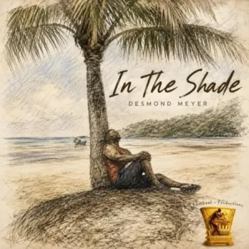 Desmond Meyer - In the Shade cover
