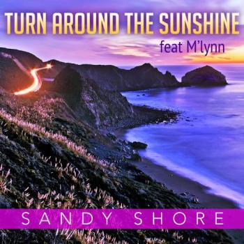 Turn Around the Sunshine - Songle 1