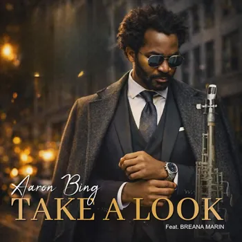 Aaron Bing - Take A Look
