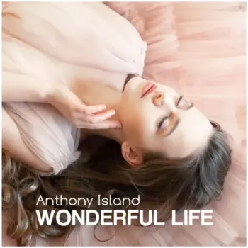 Anthony Island - Wonderful Life