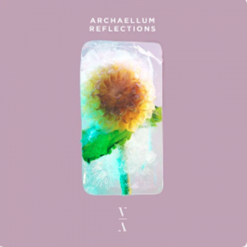 Archaellum - Reflections