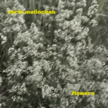 Chris Malinchak - Flowers