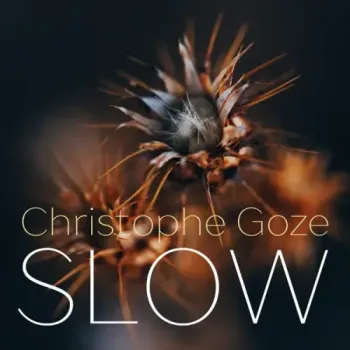 Christophe Goze - Slow