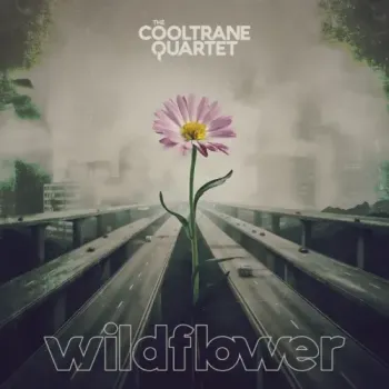 The Cooltrane Quartet - WILDFLOWER