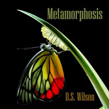 D.S. Wilson - Metamorphosis