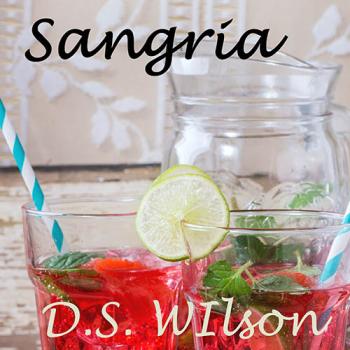 D.S. Wilson - Sangria cover