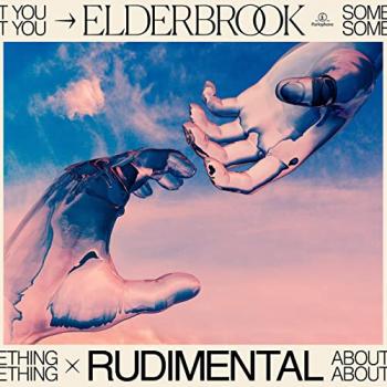 Elderbrook & Rudimental  - Something About You