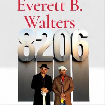 Everett B Walters - 8206 cover