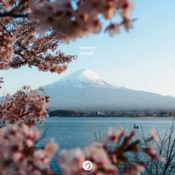 Farlight - Blossom