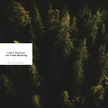 Fløa & Seawayz - Far From Nothing