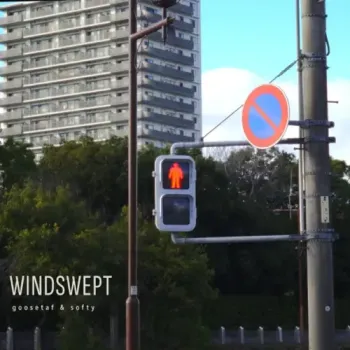 goosetaf & softy - Windswept