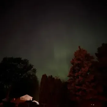 HM Surf & ilykarma - LA to Oslo 2: Business Class