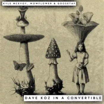 Kyle McEvoy, goosetaf & wowflower - Dave Koz In a Convertible
