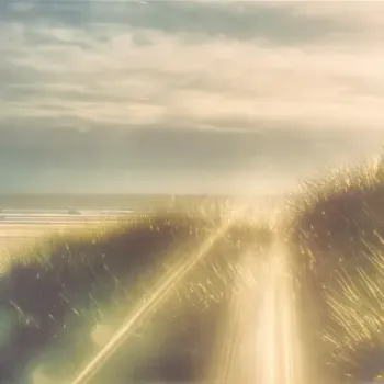 Life's A Beach & Palma Palma - Lost in Time