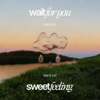 Lonely In The Rain - Wait For You / Sweet Feeling