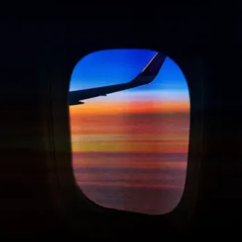 Lotus Beats - Window Seat