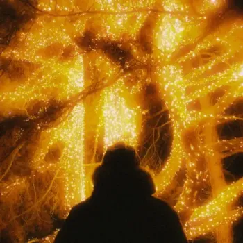 Lotus Beats & cloud cover - Winter Lights