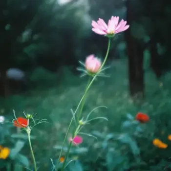Loverground - Follow Your Bliss
