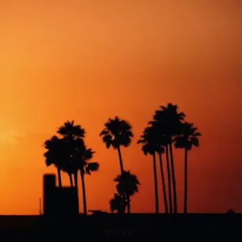 Midnight Hour - Summer Nights