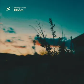 Midnight Pass - Bloom