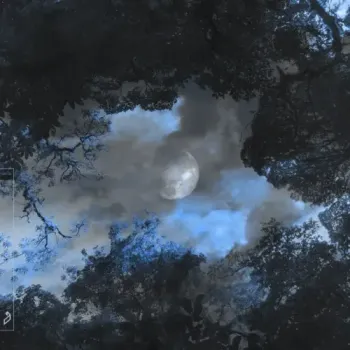Nils Hoffmann - Holding Me Back