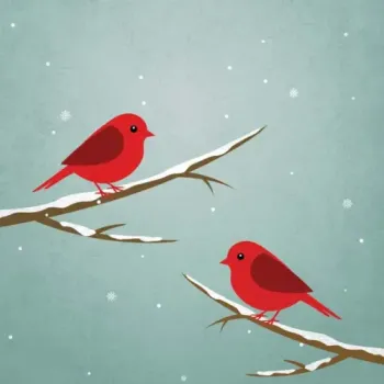 Roddy Doyle Trio - Christmas Jazz!