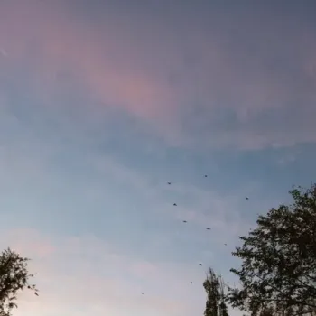 Seawayz - Lose My Mind