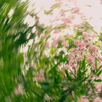 Shallou & Alex Bone - 25, Spring