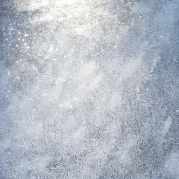 Shallou - Gone / So Far