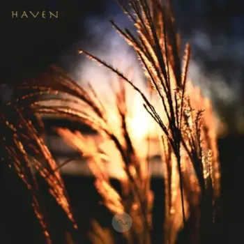 Sine - Haven