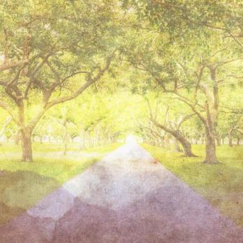 SUN/MGNETK - A Walk In The Park