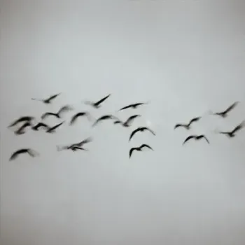 TWO LANES & Nohr - Sign (Revision)