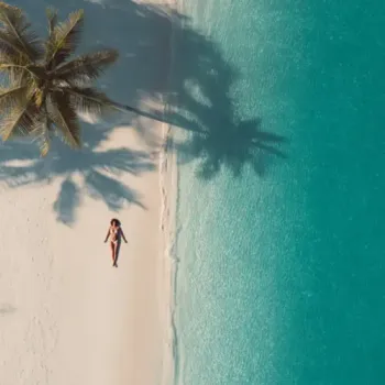 Vera Low & ChillTide - Vacation Butterflies