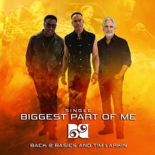 Back 2 Basics and Tim Larkin - Biggest Part of Me cover