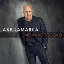 Abe LaMarca  - Said What You Said cover