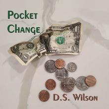 D.S. Wilson - Pocket Change