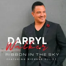 Darryl Walker - Ribbon in the Sky