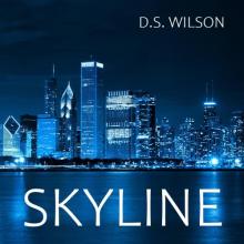 D.S. Wilson - Skyline