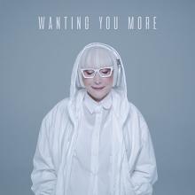 Skii Harvey - Wanting You More cover