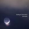 Rei Narita - Gazing at One Moon